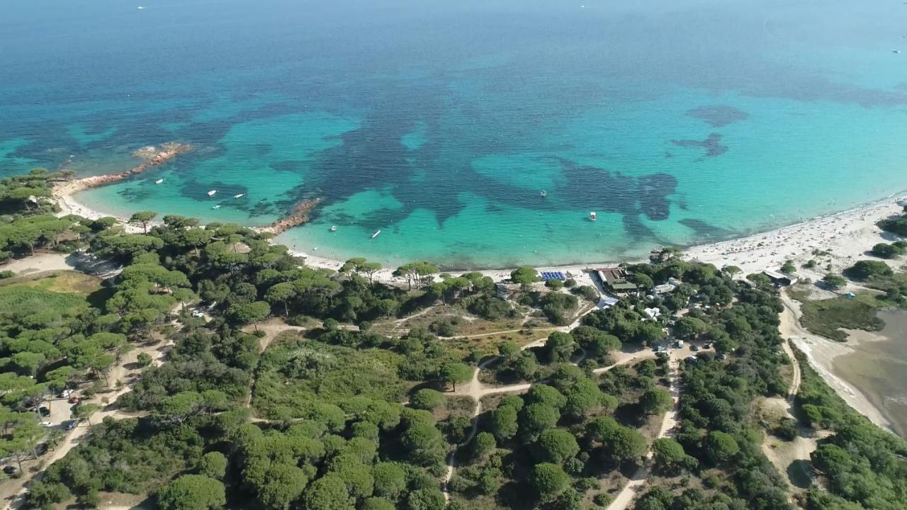 Hotel Palombaggia location i pini Porto Vecchio Esterno foto