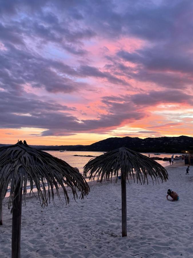 Hotel Palombaggia location i pini Porto Vecchio Esterno foto
